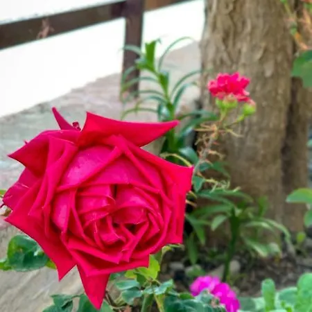 Village 別荘 Émbonas