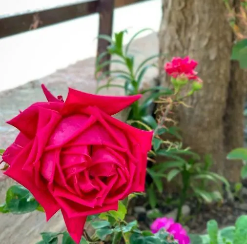 Village بيت للعطل Émbonas